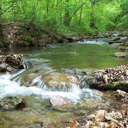 Cabin Creekwood Lyndhurst Esterno foto