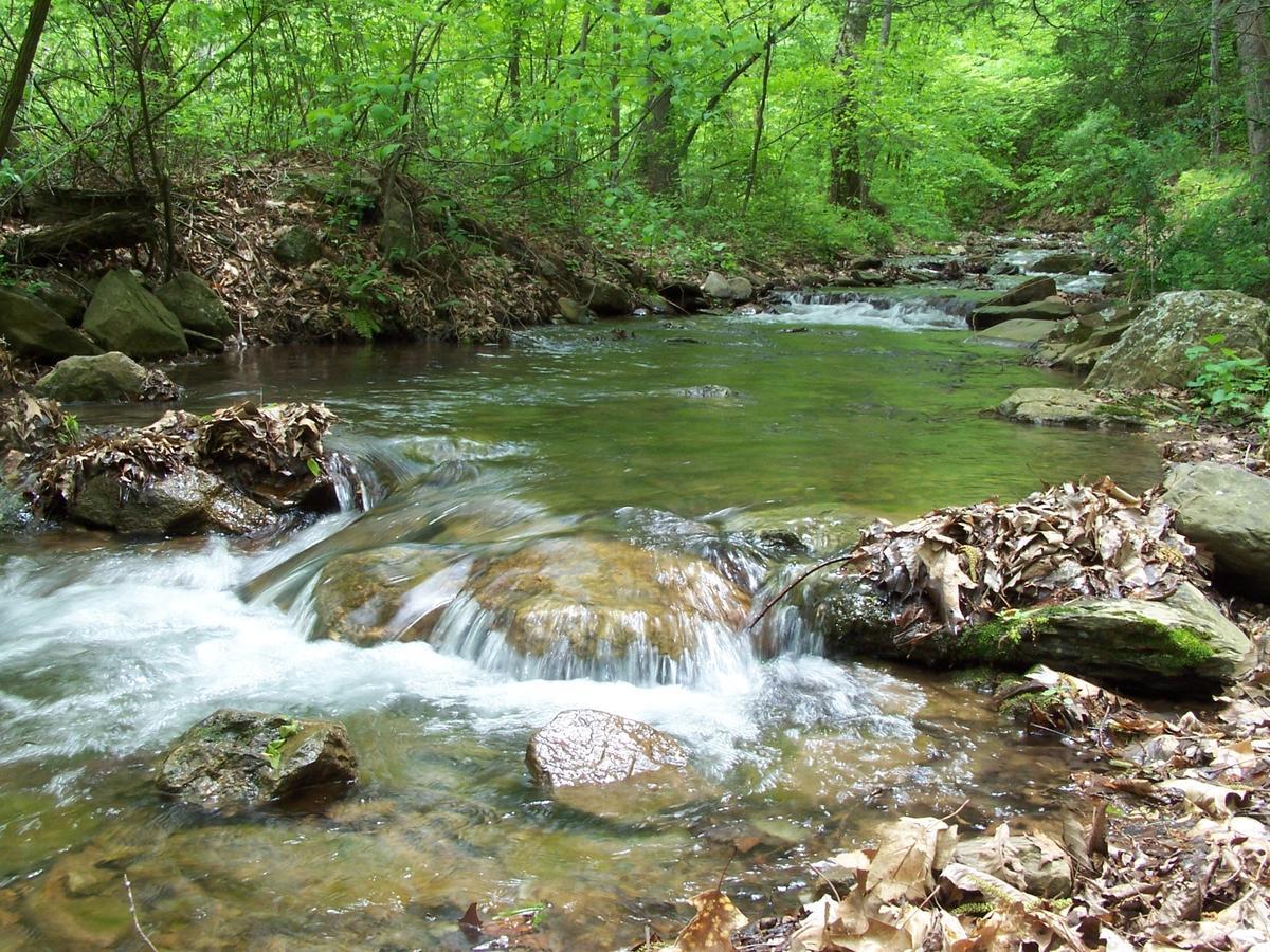 Cabin Creekwood Lyndhurst Esterno foto