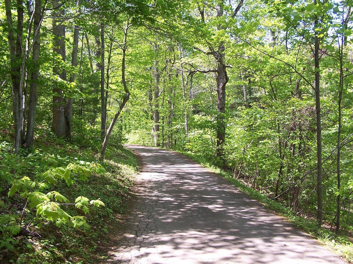 Cabin Creekwood Lyndhurst Esterno foto