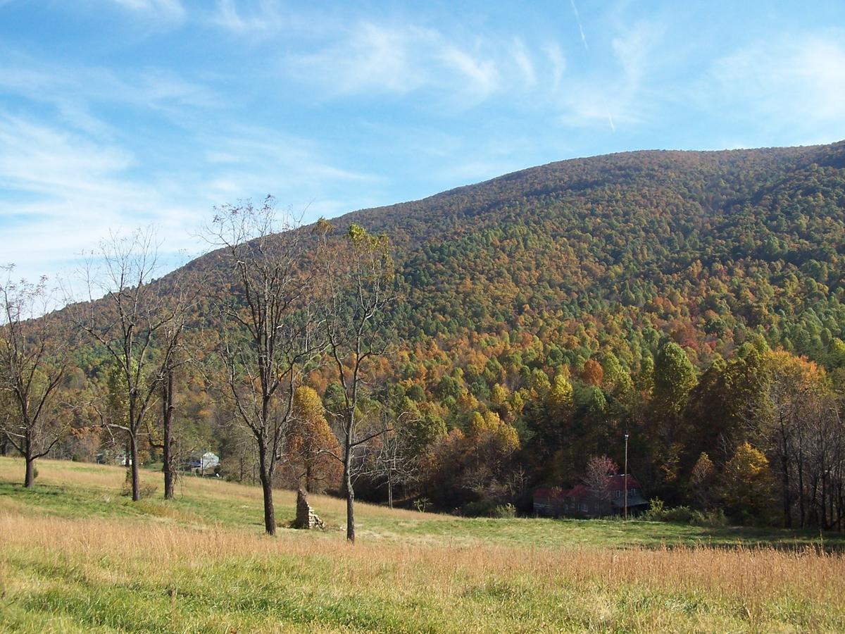 Cabin Creekwood Lyndhurst Esterno foto